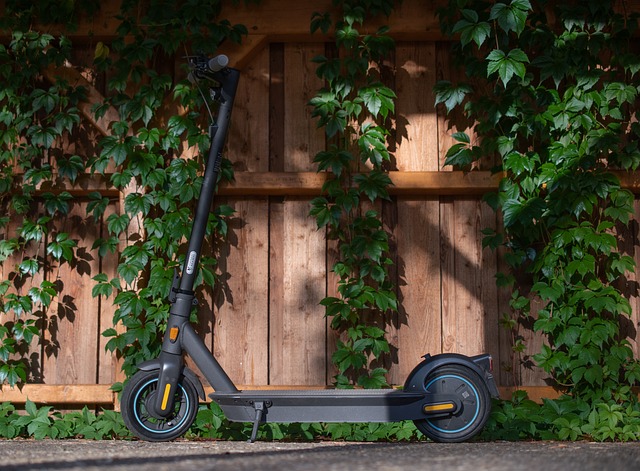 e-scooter-g1e1534ec5_640