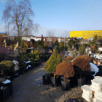 Zakładanie ogrodów w Nadarzynie - jak zaplanować swój wymarzony ogród?