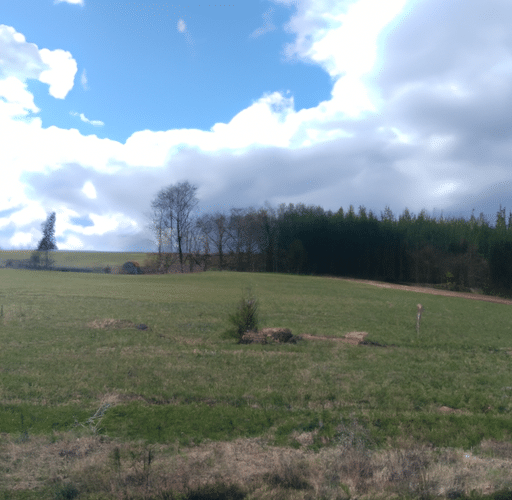 Jak zadbać o piękne tupety włosy naturalne?