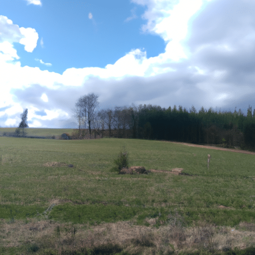 Jak zadbać o piękne tupety włosy naturalne?